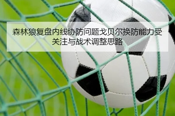 森林狼复盘内线协防问题戈贝尔换防能力受关注与战术调整思路
